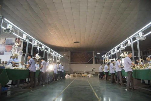 光影新境，幸福為燈 艾摩燈3.0極簡輕奢展廳與大師設計的共鳴